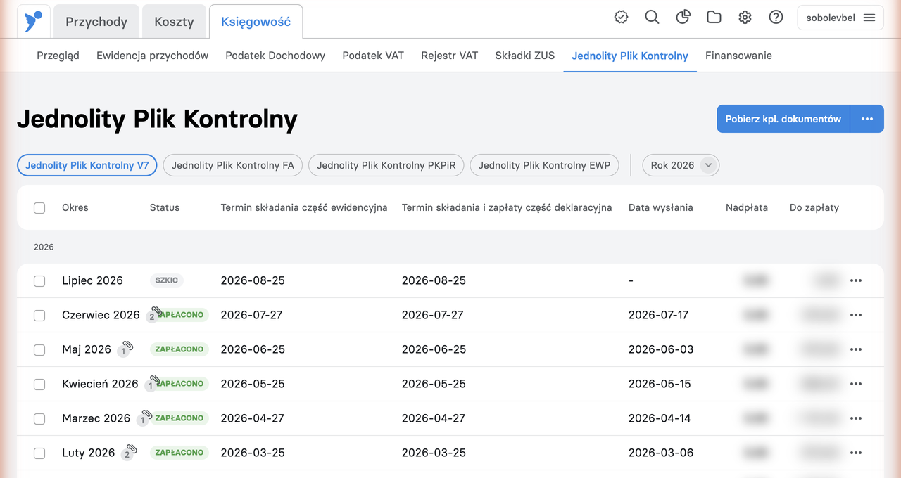 Jednolity Plik Kontrolny — список деклараций