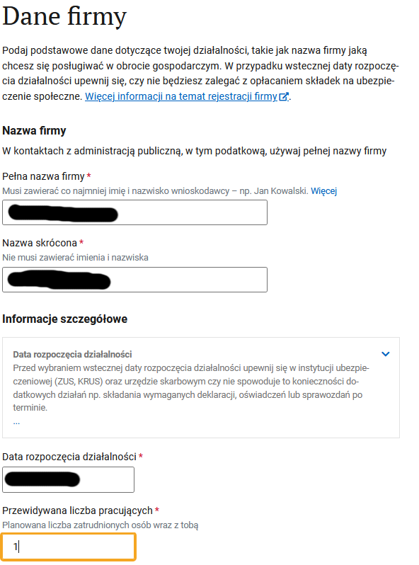 Раздел Dane firmy: название фирмы, дата начала деятельности, число работников