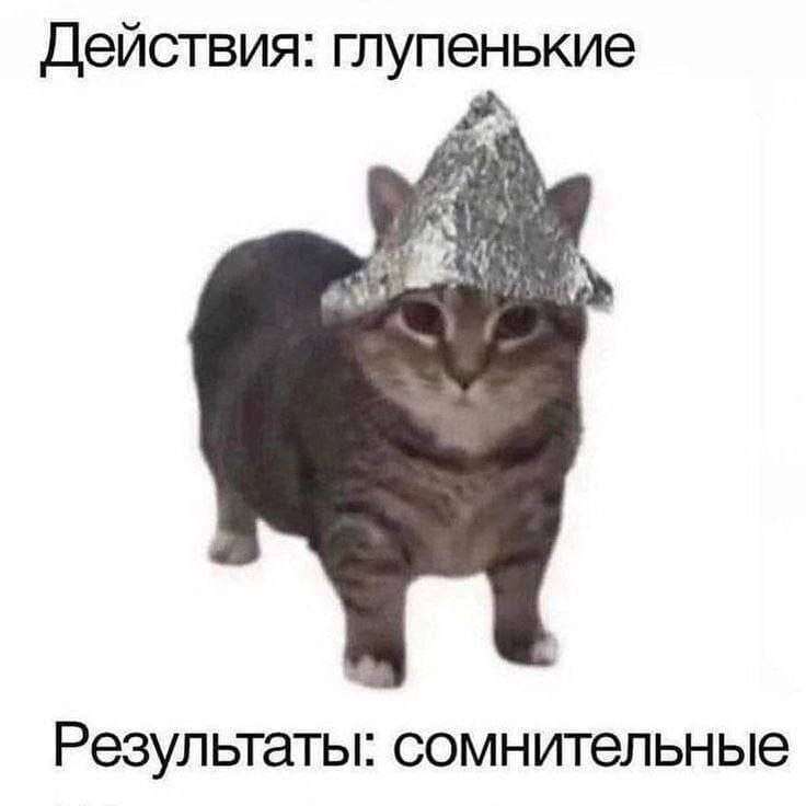 Мем: кот в шапочке из фольги — «Действия: глупенькие. Результаты: сомнительные»